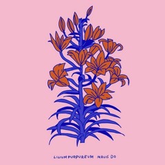 Mateba - De La Soul Baby