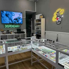 Premium Cannabis at a Dispensary Baltimore