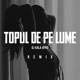 on Florin Cercel - Topul de pe lume (Dj Kala Afro Remix)