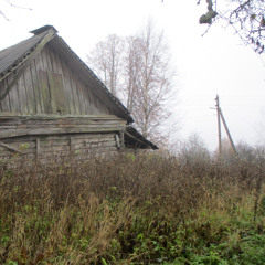 I will become your eyes