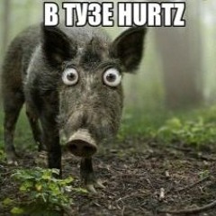 В ТУЗЕ HURTZ