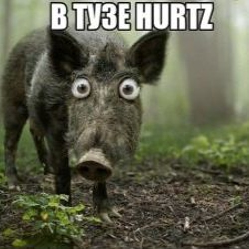 В ТУЗЕ HURTZ