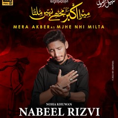 Mera Akber Mjhe Nhe Milta | Nabeel Rizvi | Hazrat Ali Akber Noha 2022 | Nohay 2022