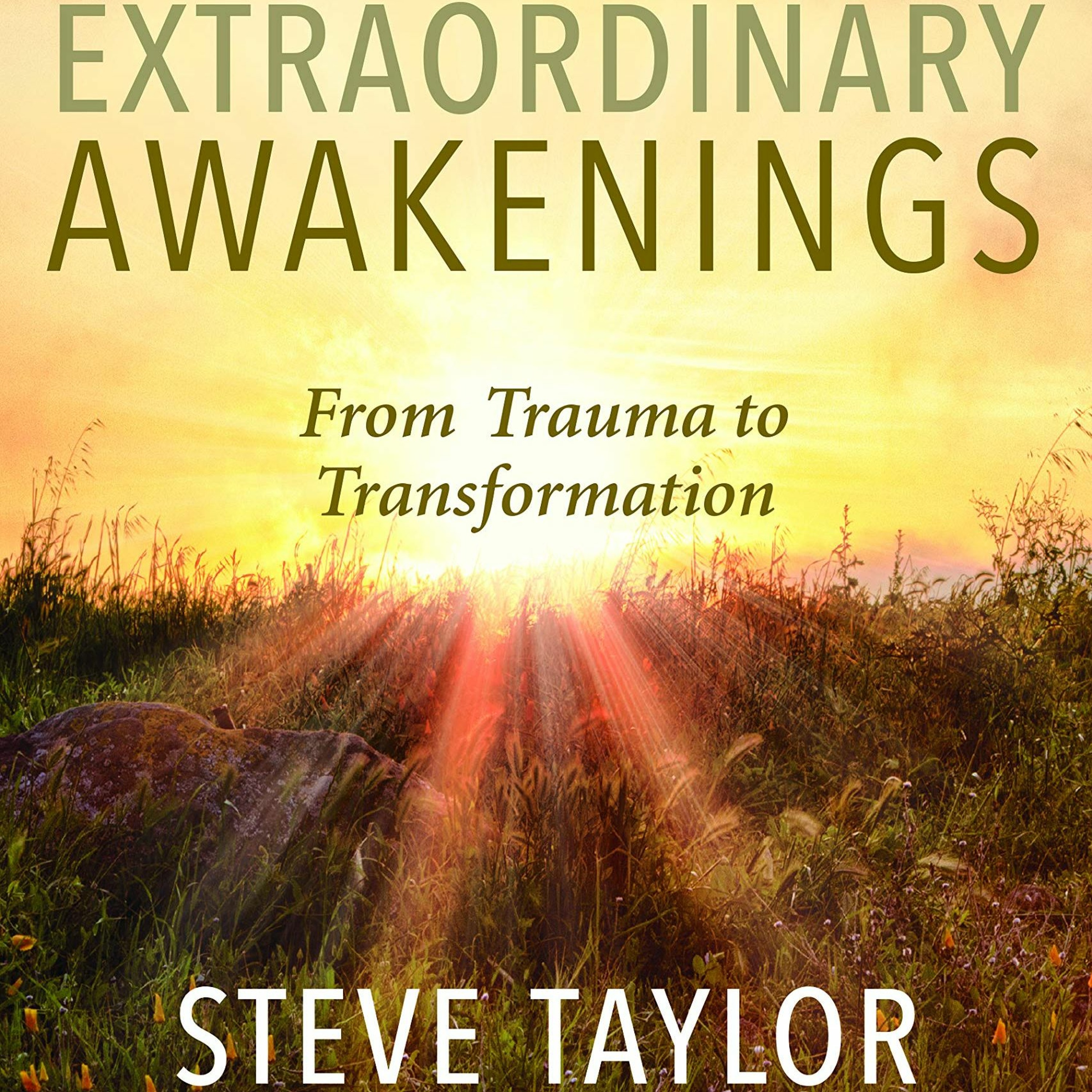 The Magical Mystery Tour  Oct 15 2021  Extraordinary Awakenings Interview With Steve Taylor episode artwork