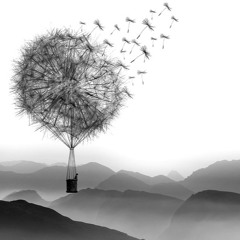 The Traveller