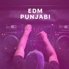Punjabi EDM Mixtape x DJ Harnek