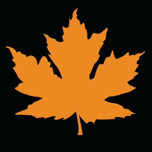 Katyu Chuko By Alif- Live