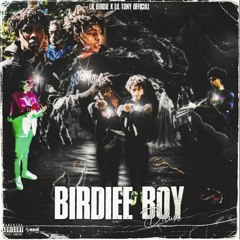 Lil Birdie 220- PerkyPerky