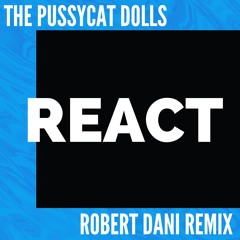 The Pussycat Dolls - React (Robert Dani Remix)