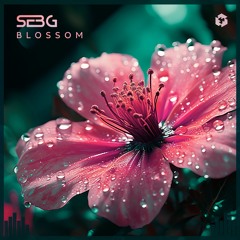 PREMIERE: Seb-G - Blossom [Techgnosis Records]