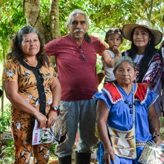 La lucha de los Pueblos Indígenas en Costa Rica: el Frente Nacional de Pueblos Indígenas (FRENAPI)