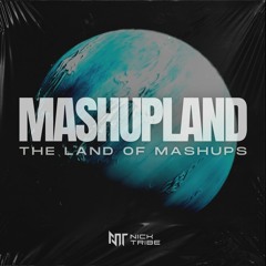 MASHUPLAND | The Land Of Mashups