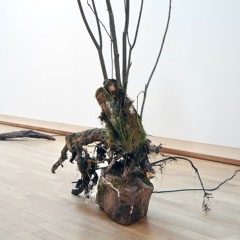 Myrvann, tre og stein - Lyddokumentasjon