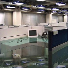 Райские цветы (Пошлая Молли cover)