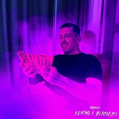 SENTINO X BLACHA2115