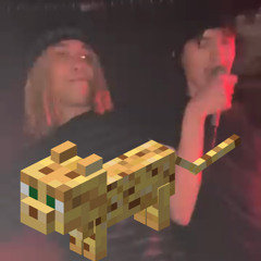 akoge sovaren and ocelot having fun on a beat produced by sovaren