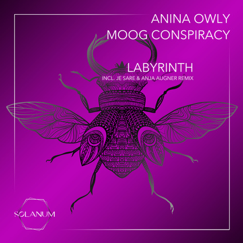 Labyrinth (Anja Augner Remix)