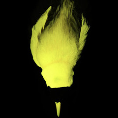 Birdsong
