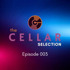 CSP: Episode 003 || Echomatics