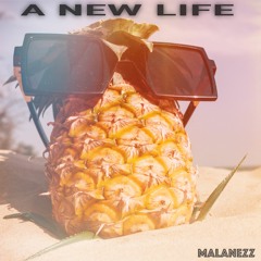 A New Life