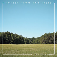 Forest From The Field