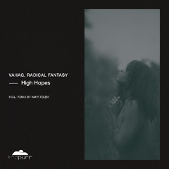 Vahag & Radical Fantasy - High Hopes (Amir Telem Remix)