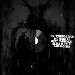 HRDSND, Syntekkz - ICH SCHNEIDE EUCH DIE ZUNGE AB(ULTRA SLOWED BASSBOOSTED)