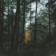 Serenity