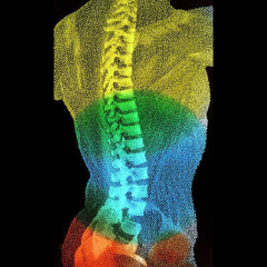 Becoming Taller a Beginning with David Zemach-Bersin