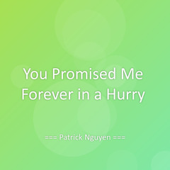 You Promised Me Forever in a Hurry