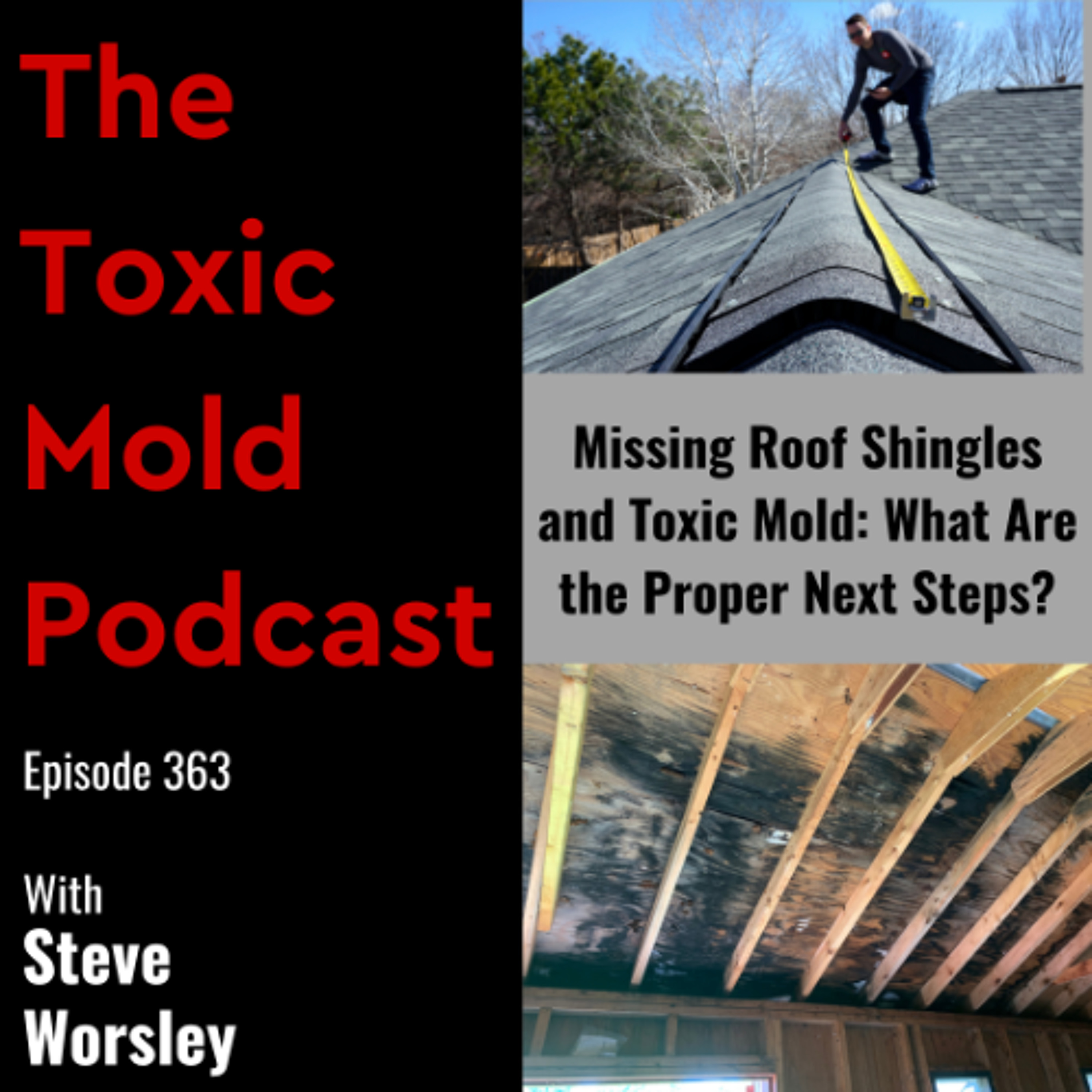 EP 363: Missing Roof Shingles and Toxic Mold: What Are the Proper Next Steps? episode artwork