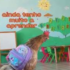 Meu primeiro set !