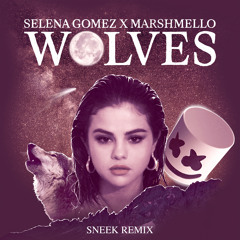 Wolves (Sneek Remix)