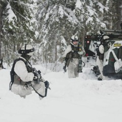 Inför försvarsberedningens rapport med Karlis Neretnieks