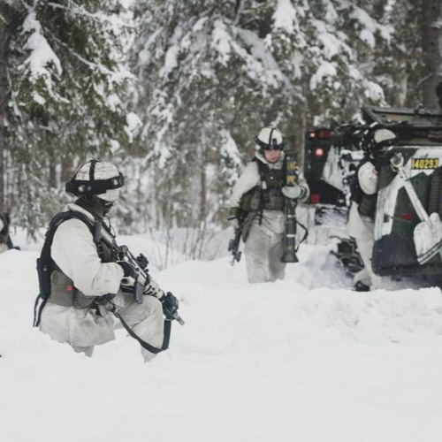 Inför försvarsberedningens rapport med Karlis Neretnieks