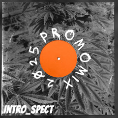 PROMO MIX 2025