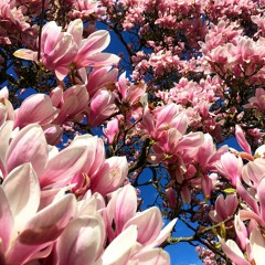 Свобода И Любовь