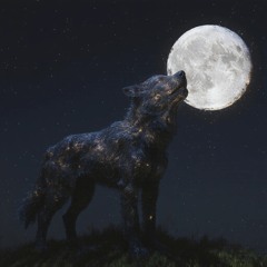 howl at the moon