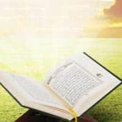 القارئ | أحمد حلاوة