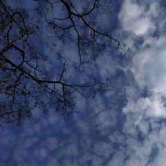 سورة طه -قيام ليل العشر الأواخر -رمضان ٢٠٢٤