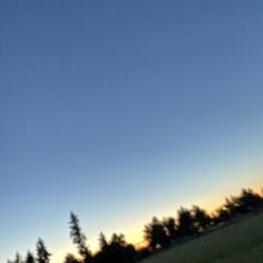 WaanNonInisi (cvr) Dërü🇫🇲💫