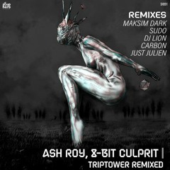 Ash Roy, 8 - Bit Culprit - Basidia (DJ Lion, Just Julien Remix)Soupherb