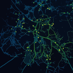 Cosmic Network