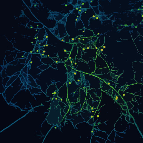 Cosmic Network