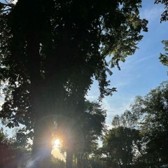 we can't forget each other (prod. joshwa)