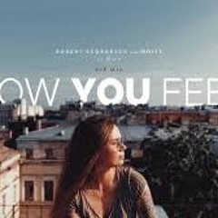 Robert Georgescu and White feat. Diana - How you feel