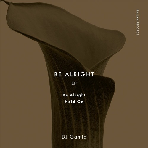 DJ Gamid - Hold On