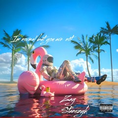 zay stanczyk I'm normal you are not  (prod.tao x jvsper