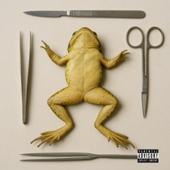 NA BIOLOGIA - DJPEJOTA, DJ CZ, MC HK DA 7