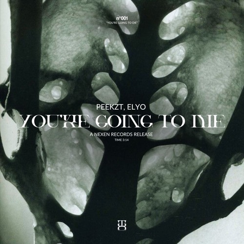 PEEKZT,ELYO - YOU'RE GOING TO D*E